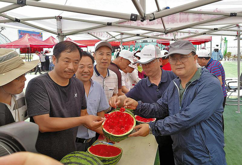 【沒有簽發】助力渭南産業脫貧致富  第五屆全國西甜瓜之鄉産業聯盟大會在渭南蒲城召開