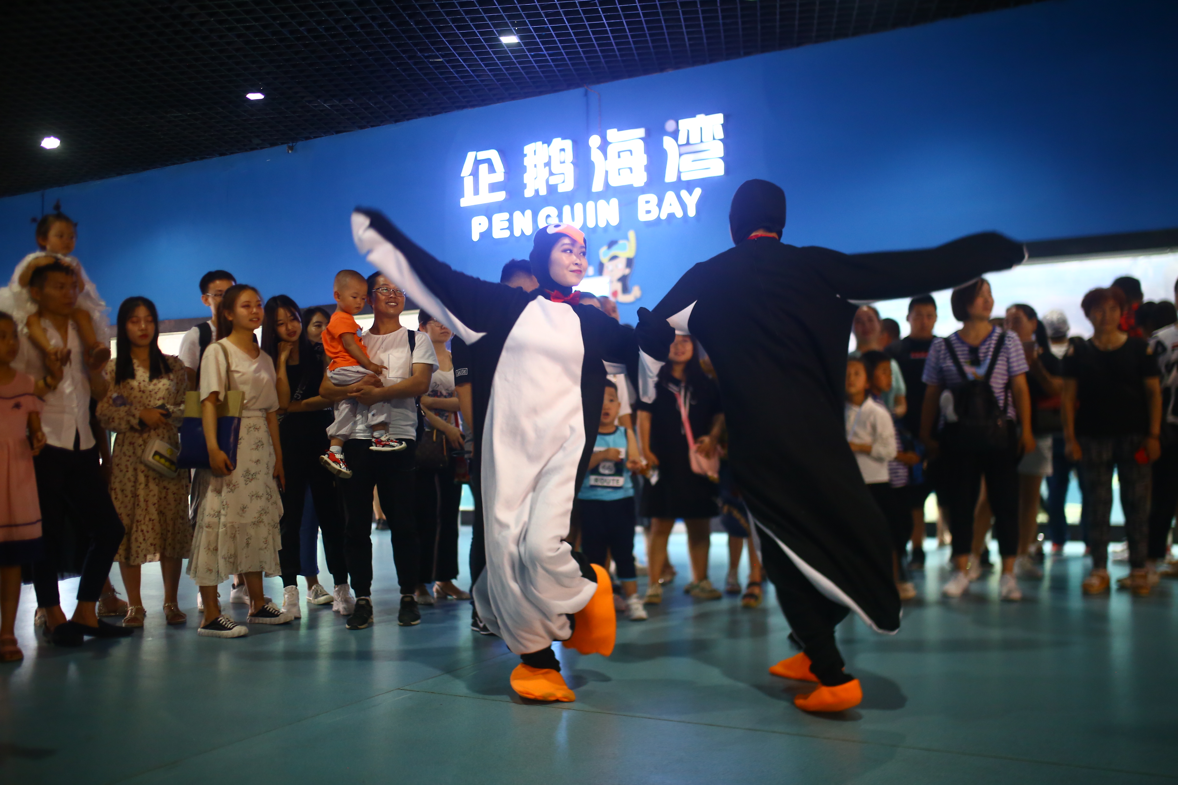 西安曲江海洋極地公園舉辦尋找“企鵝先生”系列活動