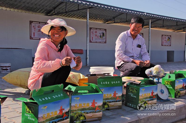 從靠地吃飯到靠地吃好飯  ——從陜北一個村莊看促進小農戶和現代農業發展有機銜接