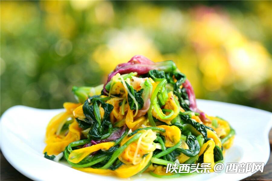 夏天的味道|石泉的百合花開了 好看又好吃