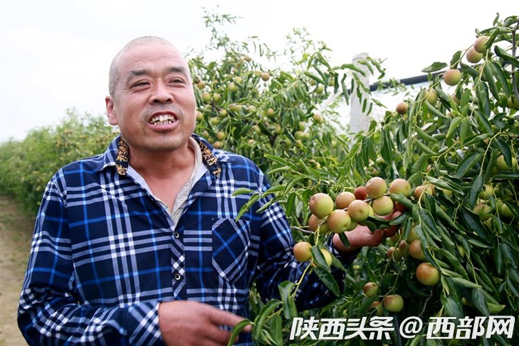 以銷優産 阿裏社區電商數字賦能大荔冬棗冷鏈直送全國社區_fororder_849e5b41fc2b28e61b06d6e9b0174748