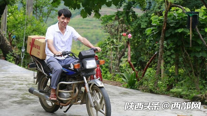 石泉：駐村幹部成了養蜂“土專家” 帶領村民脫貧致富