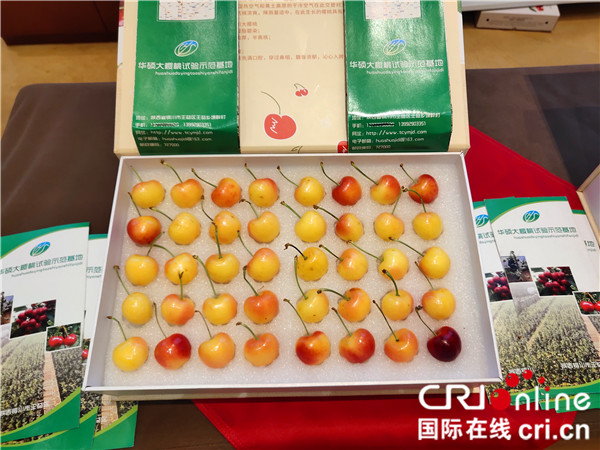 （A 加急  首個附新華連結）以産業興旺助推鄉村振興 2020年銅川大櫻桃産銷對接系列活動啟動