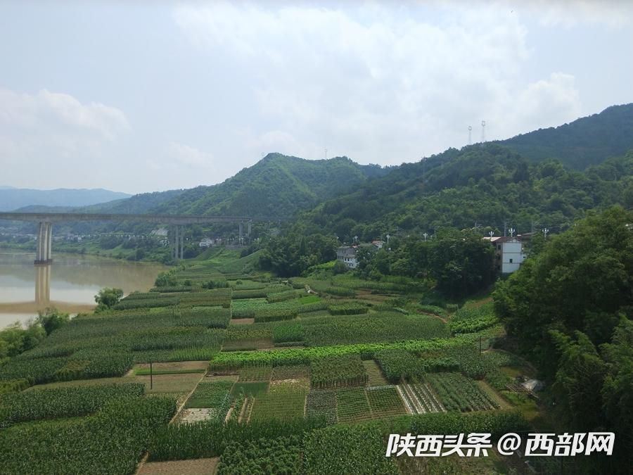 石泉太陽村的“太陽産業” 讓村民富了起來