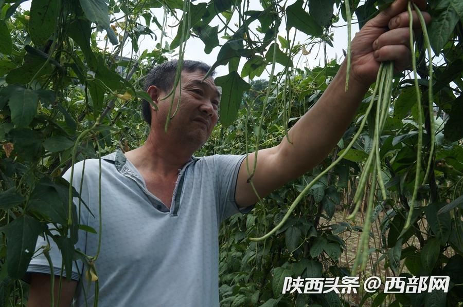 石泉太陽村的“太陽産業” 讓村民富了起來