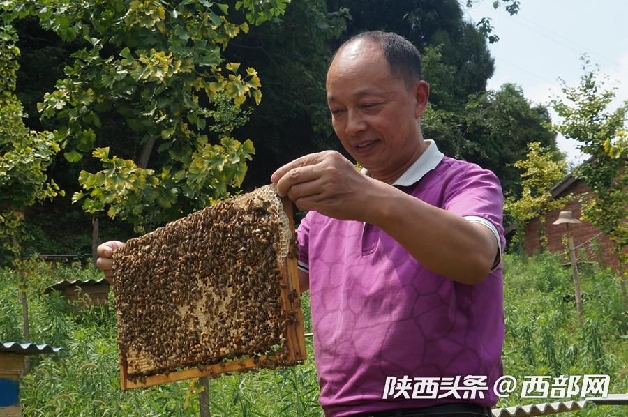 石泉太陽村的“太陽産業” 讓村民富了起來