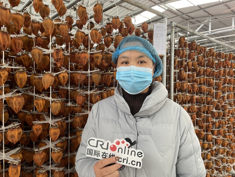 陜西富平：柿業發展有甜頭 鄉村振興有奔頭_fororder_IMG_3338.JPG