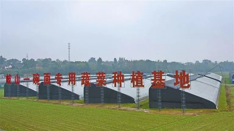 （轉載）寶雞岐山縣一碗麵入選全國農業全産業鏈典型縣建設名單