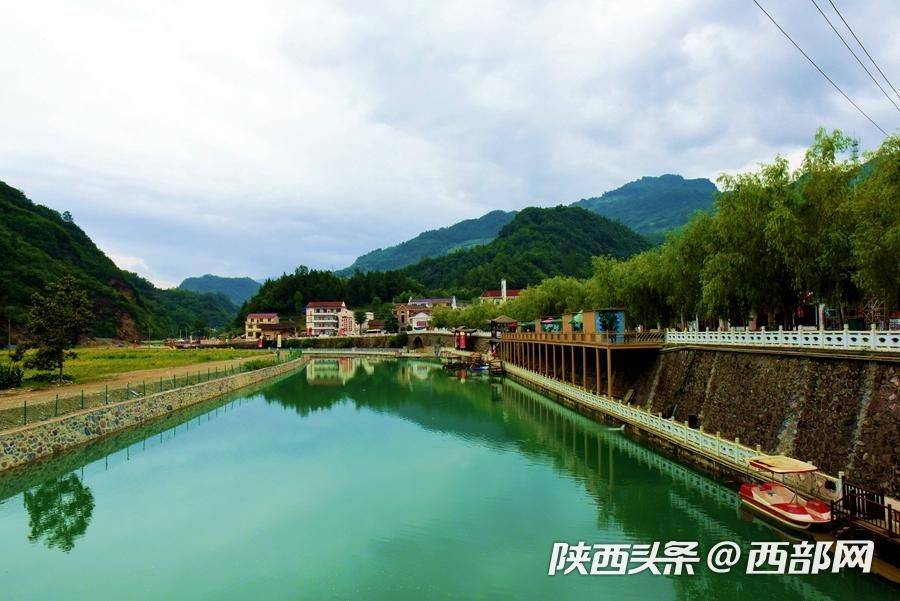 陜南小鎮向日葵花開成海 吸引遊客前往