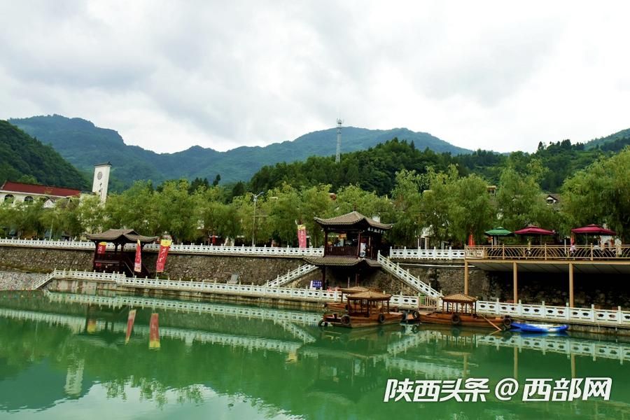 陜南小鎮向日葵花開成海 吸引遊客前往