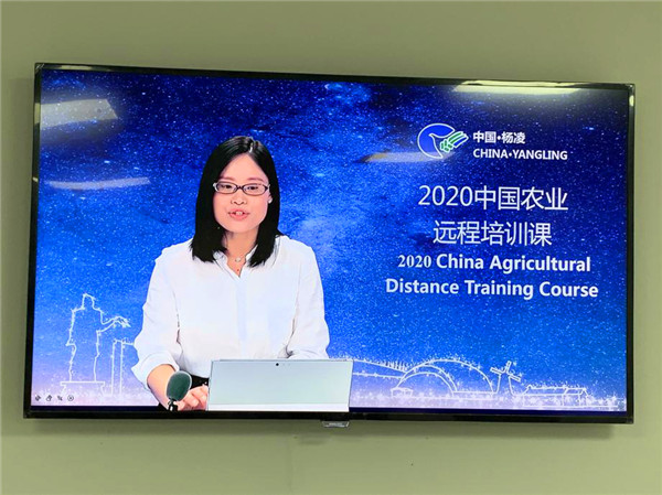 （已改）楊淩：“新基建”為加強上合農業國際交流培訓賦能