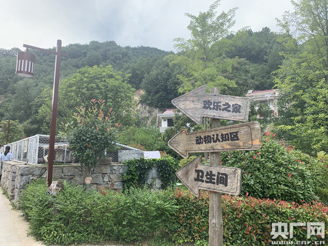 昔日秦嶺窮山溝變身童話小鎮 繪就美麗鄉村新畫卷