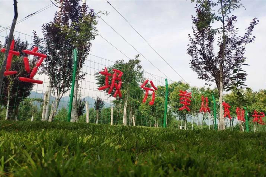 西安市長安區首個垃圾分類主題公園 亮相五台街道