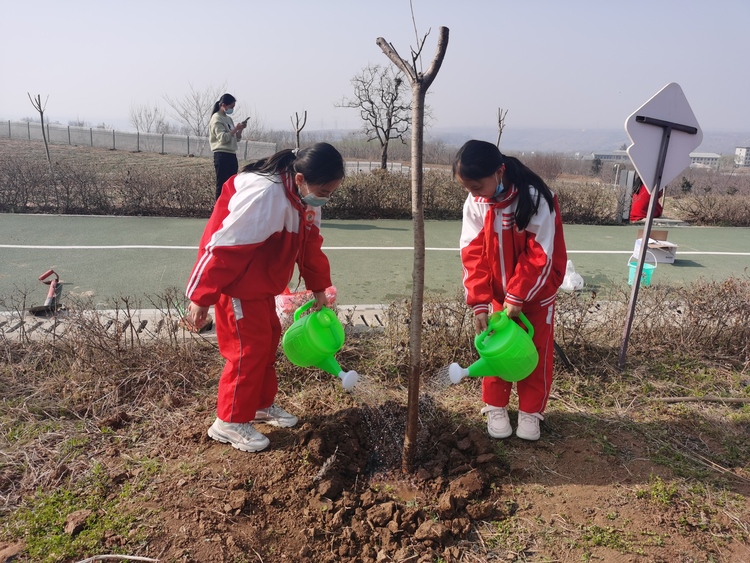 陜西渭南：擁抱大秦嶺 做植樹護綠小衛士_fororder_微信圖片_20220310200846