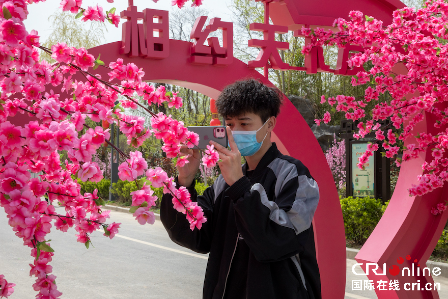 【與春天撞個滿懷 打卡最美春景】陜西渭南：桃花源裏桃花香 花香四溢迎客來_fororder_1