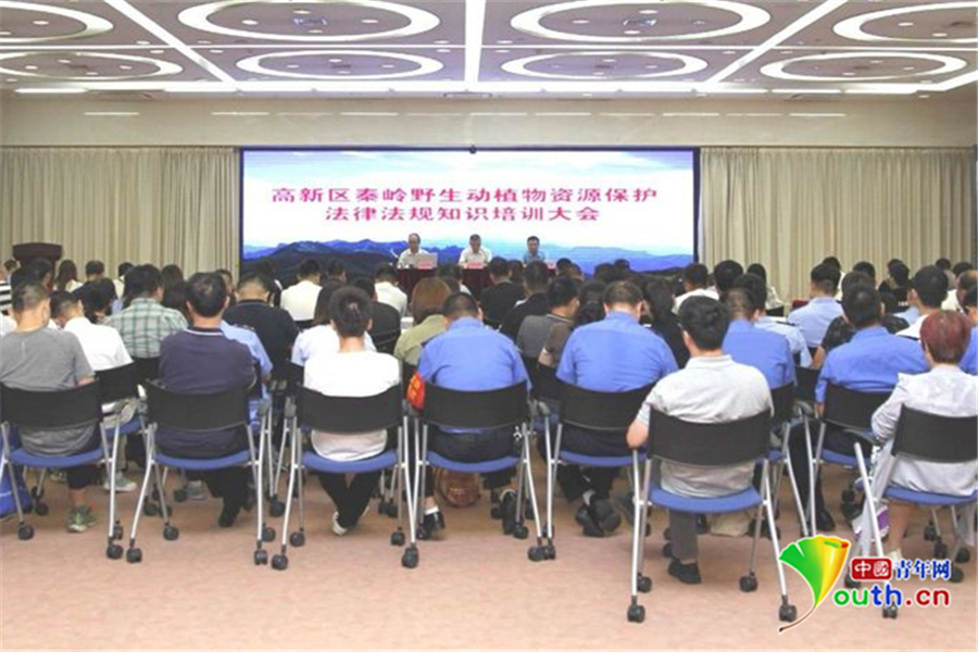 西安高新區260余人現場學法 共同推進專項行動再上新臺階