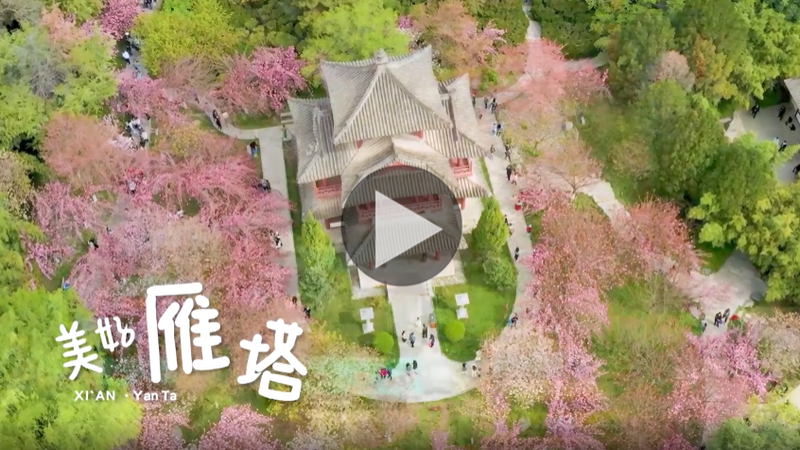 美好生活在雁塔_fororder_微信截圖_20220505151546