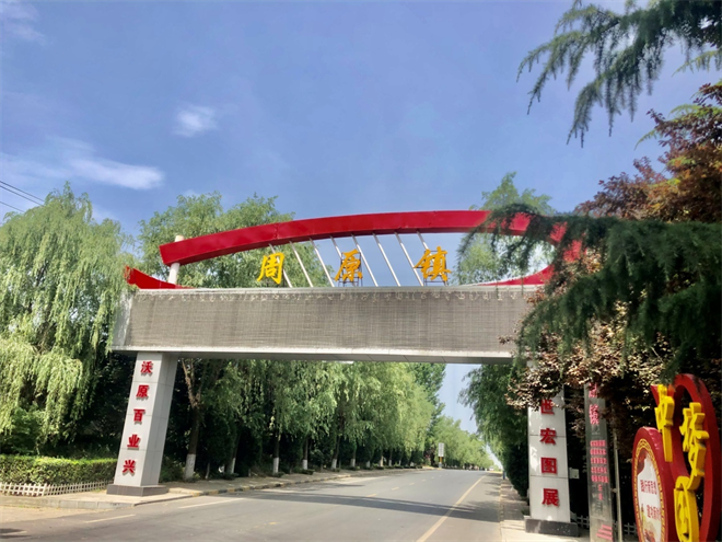 寶雞市陳倉區周原鎮：鄉村振興“百花放” 美好畫卷撲面來_fororder_圖片1