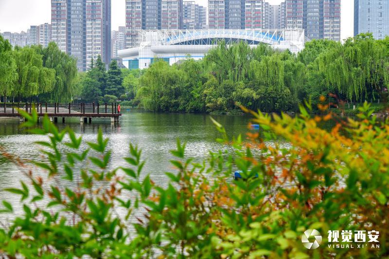 【中首 陜西  圖】端午節假期去哪兒玩 十四運會場館等你來