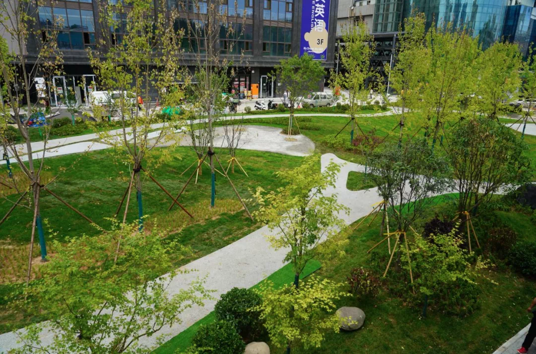 西安市雁塔區：開展“五個整治” 提升城市精細化管理水準_fororder_微信圖片_20220715141310