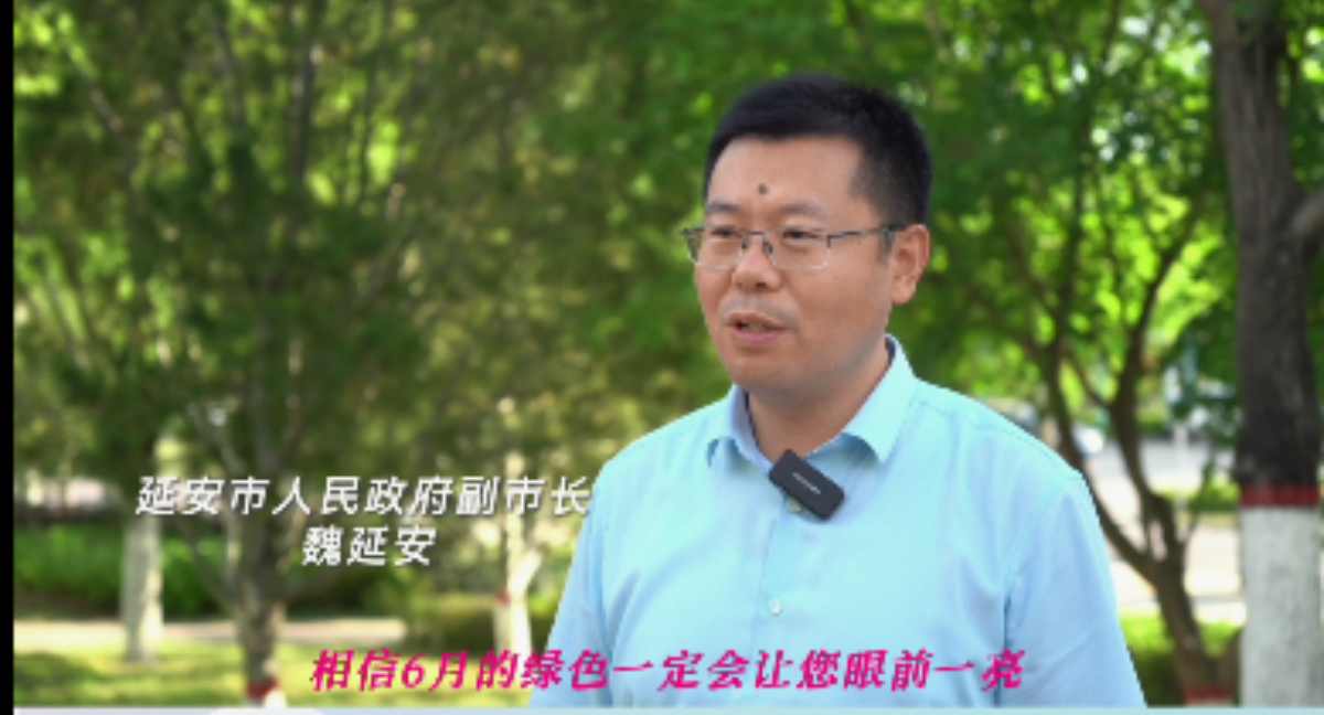 綠色延安_fororder_微信圖片_20220627174545