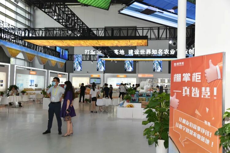 第六屆絲博會在西安開幕 “國家隊”楊淩精彩亮相 科技引領“農”味十足