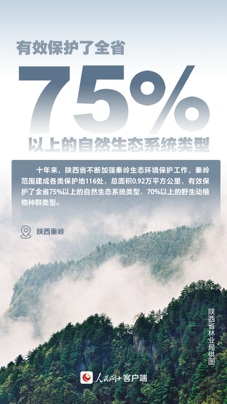 【美麗中國·網絡媒體生態行】十年“由黃到綠” 三秦大地這樣書寫“生態答卷”