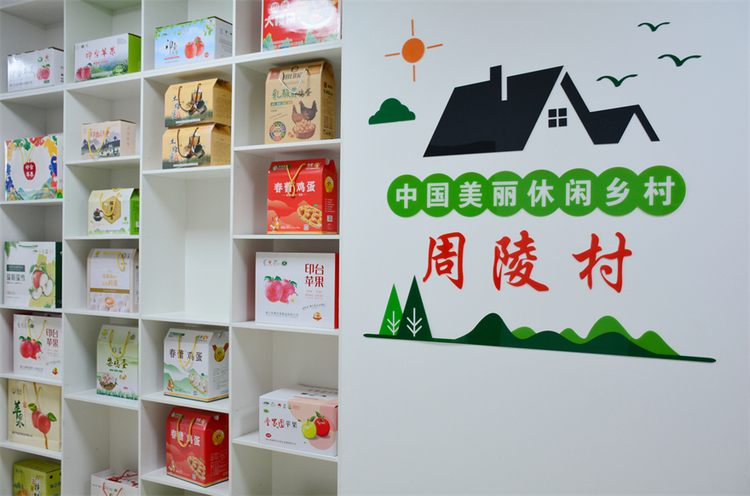 銅川市印臺區：夯實基礎 踔厲奮發 在鄉村振興的田野上跑出“加速度”