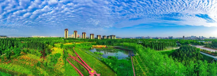 西鹹新區灃西新城：國家試點擔當！_fororder_222