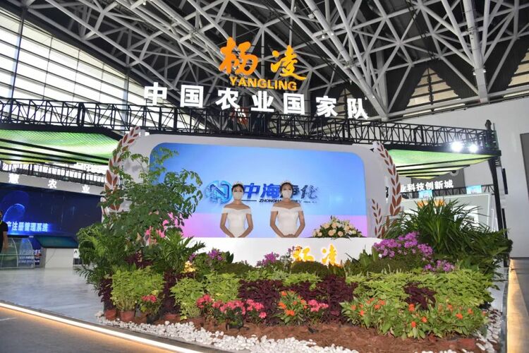 第六屆絲博會在西安開幕 “國家隊”楊淩精彩亮相 科技引領“農”味十足