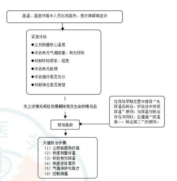 西安交大一附院專家提示：高溫天氣下戶外活動需警惕熱射病