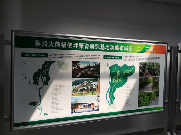 生物多樣性保護成果顯著 漢中市生態文明建設邁上新征程_fororder_微信圖片_20220815175351_副本