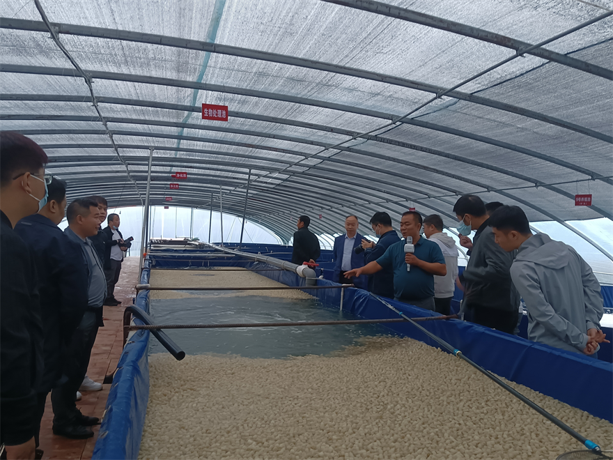 安康嵐皋：陸基養魚新模式 入侵生物巧變“寶”_fororder_11