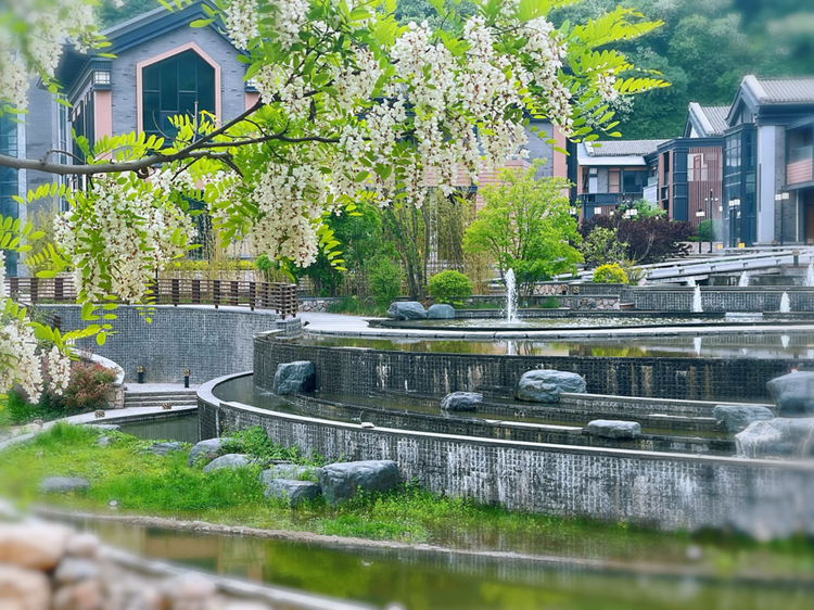 茵香煥新顏 寶雞市打造全新國家級康養旅遊度假區_fororder_3