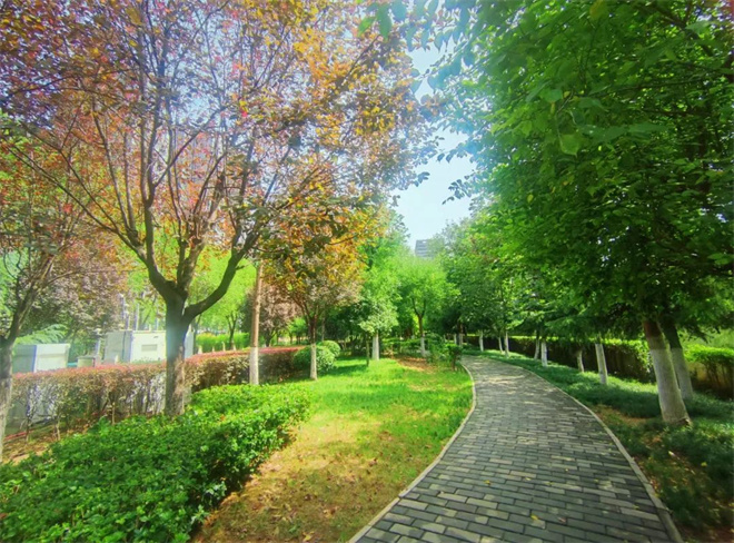 西安市灞橋區八月最佳路段來啦_fororder_微信圖片_20220926111404