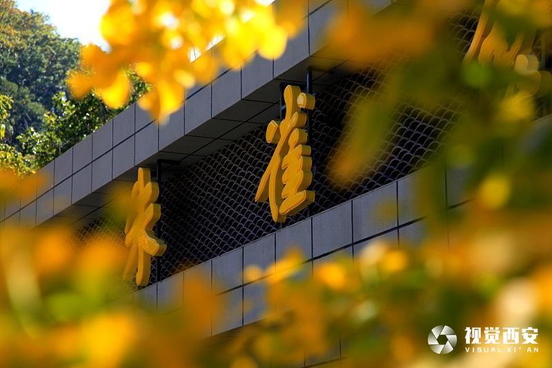 多彩金秋 暢遊秦嶺 2022西安秦嶺生態旅遊季秋季活動開啟