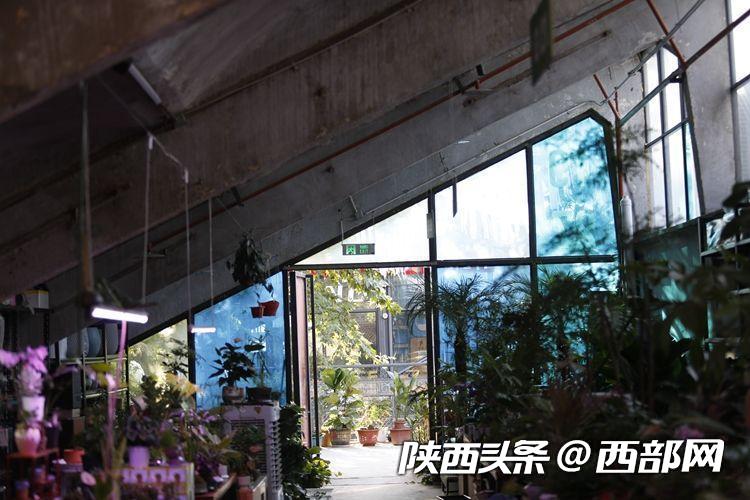 （轉載）日可遊夜可賞 雁塔煥發新光彩