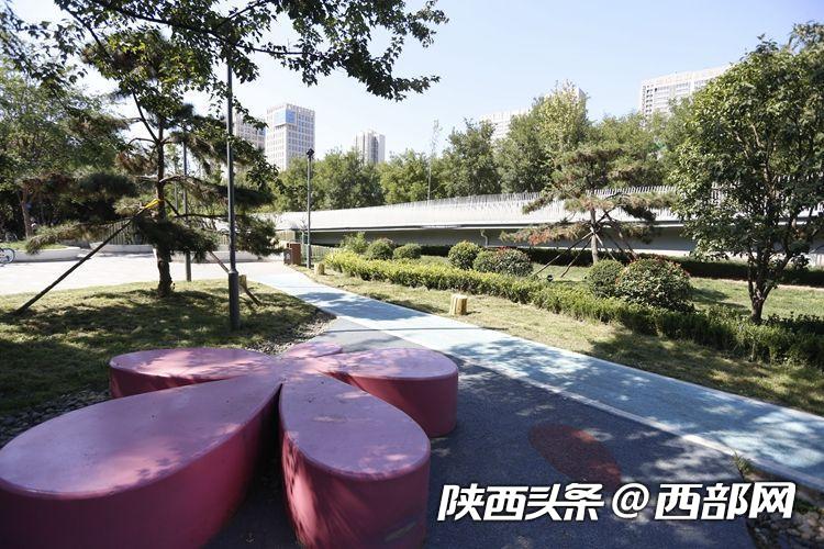 （轉載）日可遊夜可賞 雁塔煥發新光彩