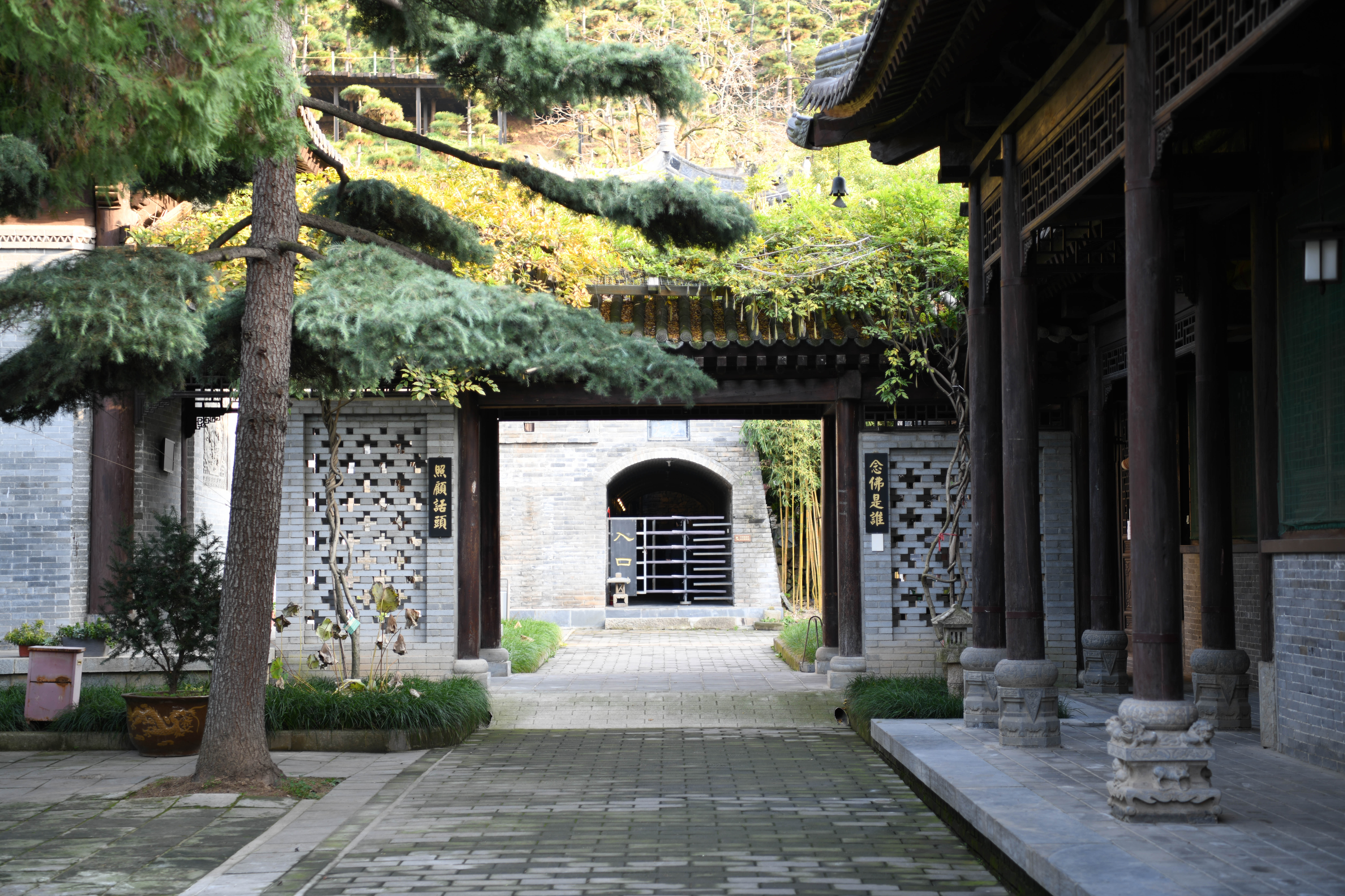 【人間秋色在陜西】秋滿長安 李世民手植千年銀杏披金甲_fororder_DSC_1641