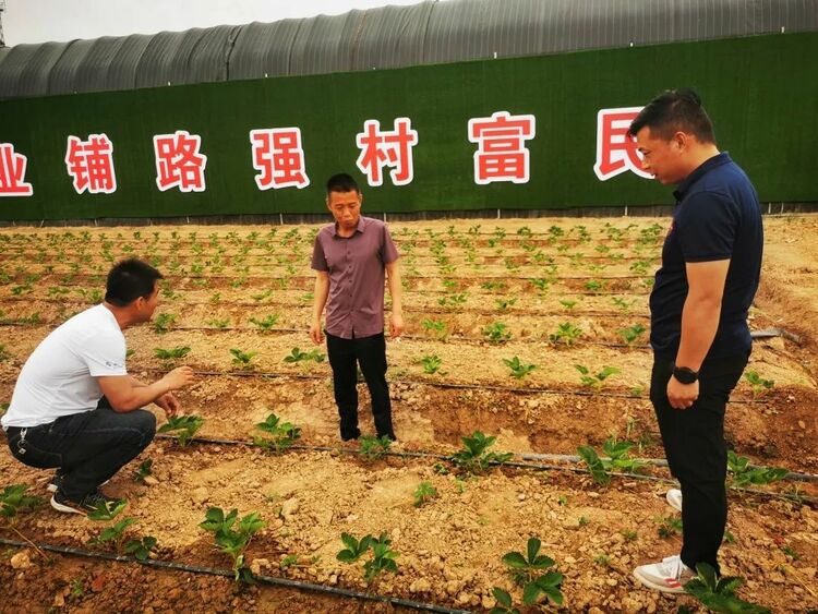 西安市高陵區：探索建立“幫扶團” 齊聚鄉村促振興_fororder_微信圖片_20221104151657