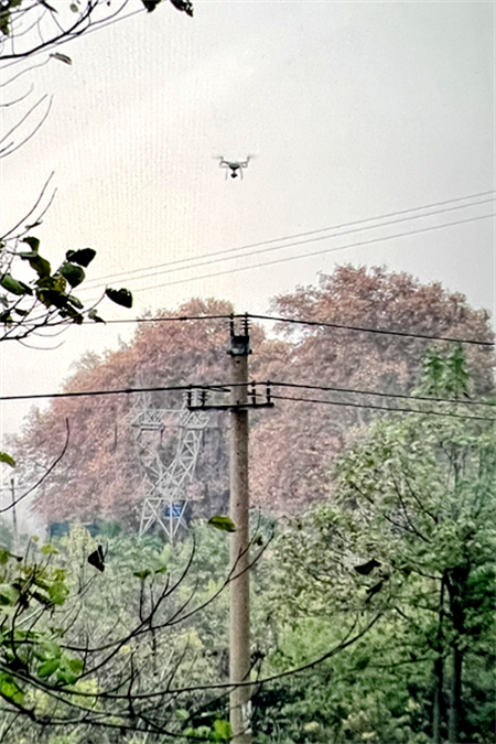 圖片默認標題_fororder_ab0d63691bbadb698dc8876dc61b53e
