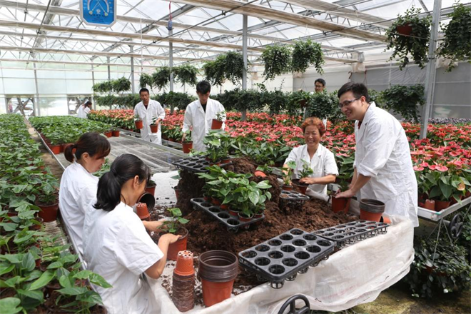 西安市長安區：脫貧戶楊孝武的新生活_fororder_圖片2