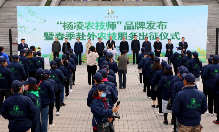 “楊淩農技師”服務隊出征記