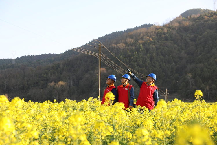 國網陜西電力：電靚三秦大地 振興鄉村旅遊_fororder_國網陜西電力員工對油菜花觀賞區域線路進行巡視