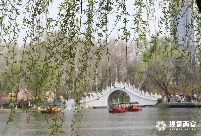 興慶宮公園花如海 人似潮