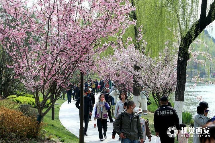 興慶宮公園花如海 人似潮