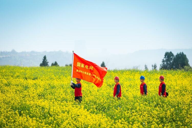 助力文旅發展 咸陽電力護航金色花海_fororder_微信圖片_20230401151452