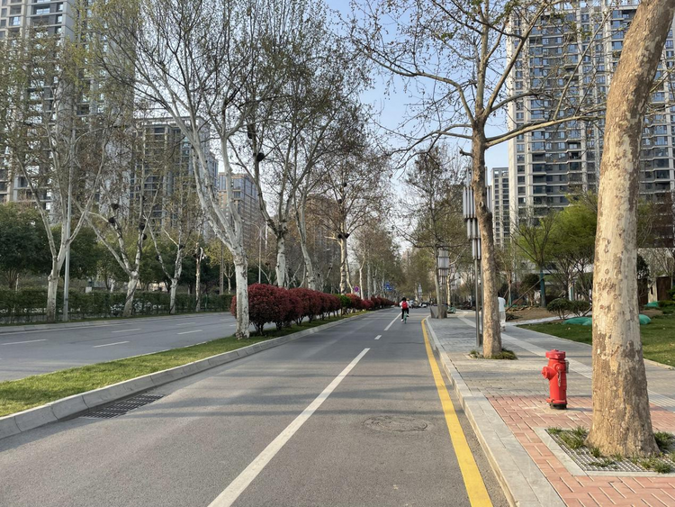 西安高新區：一點小改變帶來大不同_fororder_圖片1