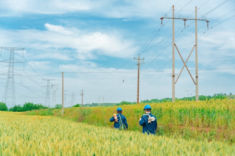 國網陜西電力：電力護航夏收顆粒歸倉_fororder_國網陜西寶雞供電公司工作人員到田間地頭檢修三夏用電線路.JPG