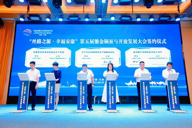 第四屆鎏金銅蠶文化國際研討會在石泉舉辦 促成項目簽約26億元_fororder_圖片3